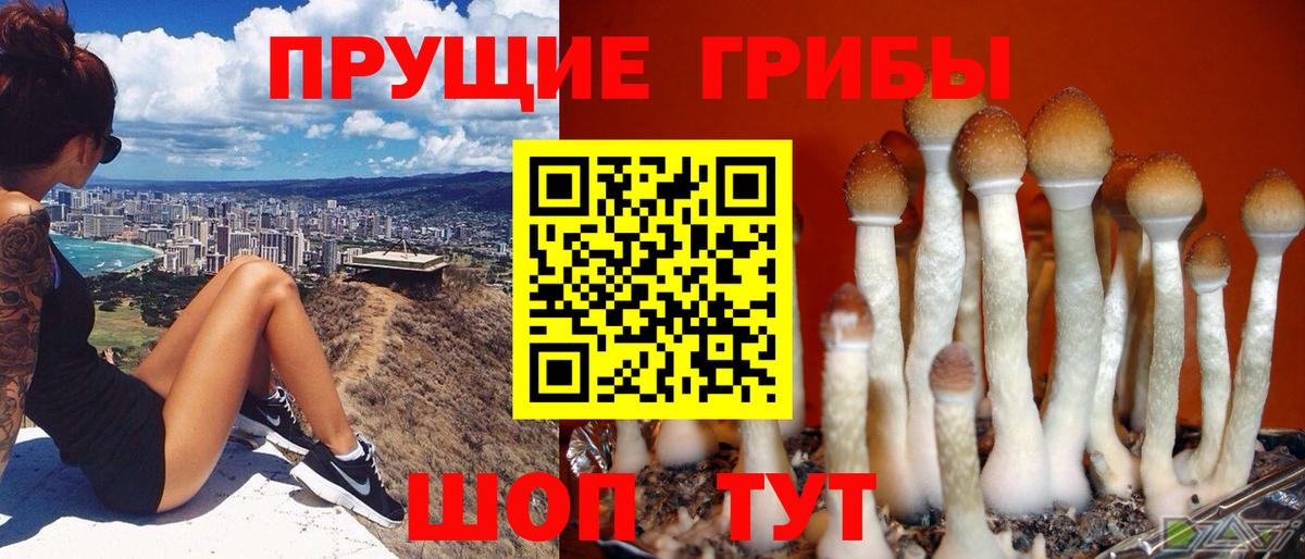 Чебаркуль  Галлюциногенные грибы GOLDEN TEACHER  Вход с VPN 